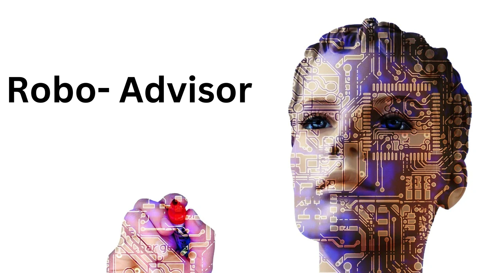 robo advisor 