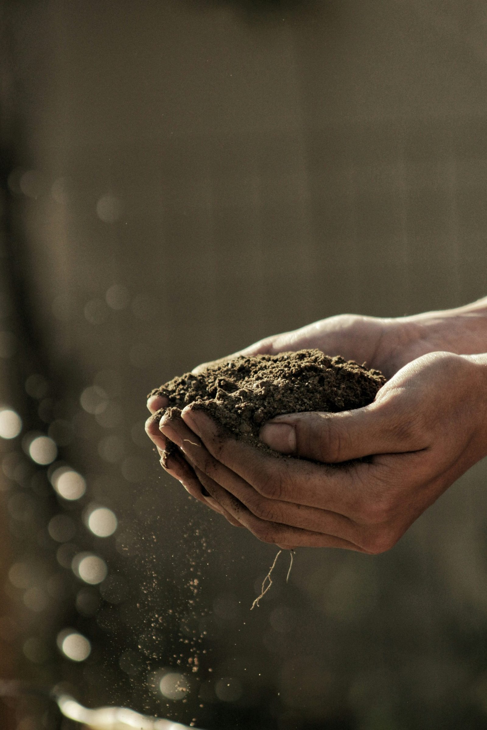 Penny Stocks Sowing Change in US Agriculture